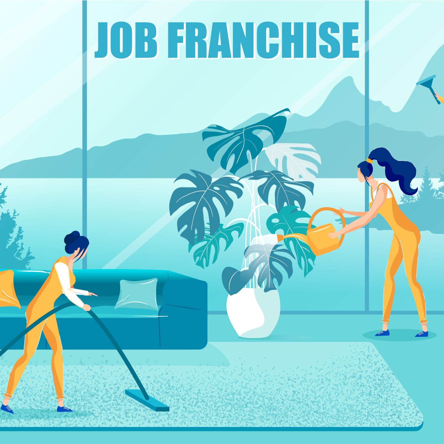 Cleaning Franchise