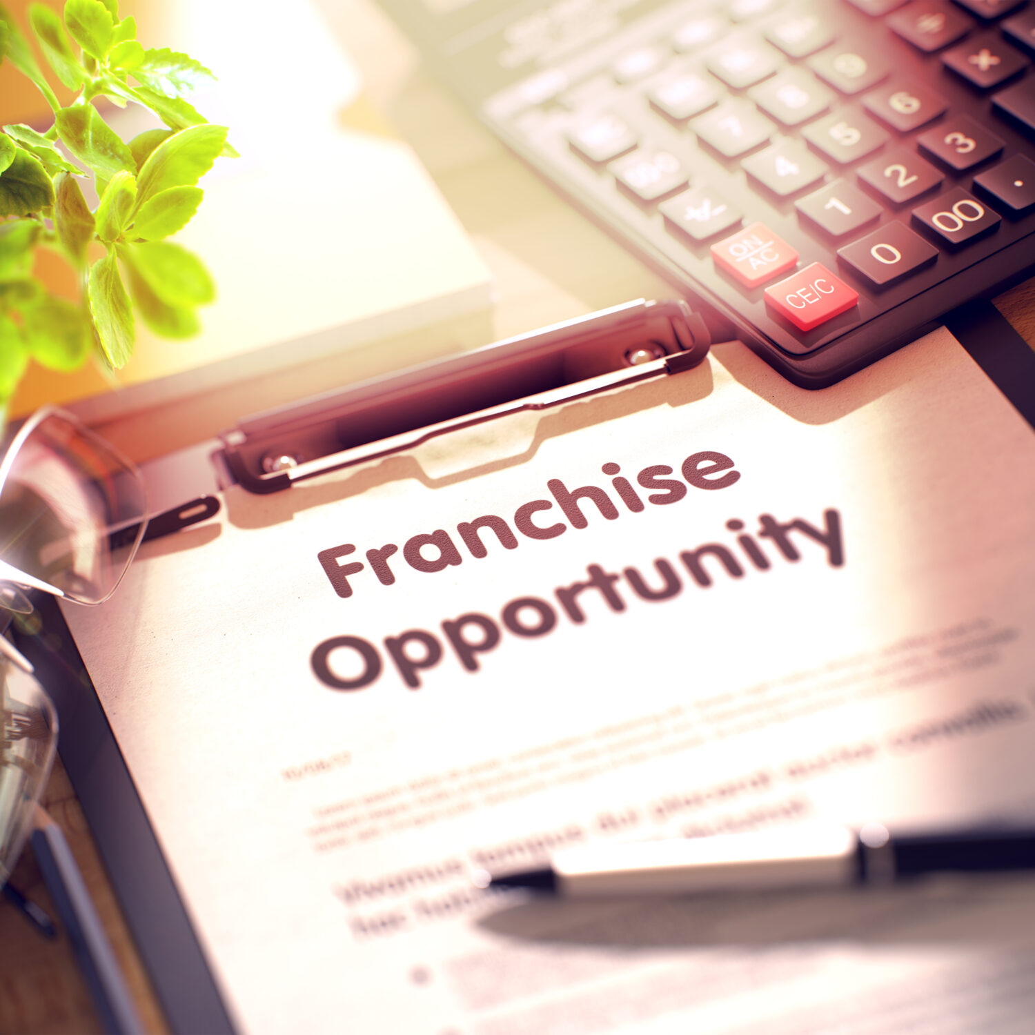 Franchise Opportunity